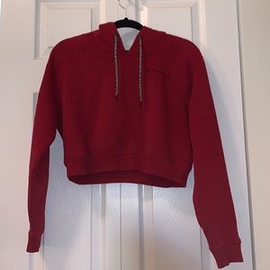 Alphalete Cropped Hoodie